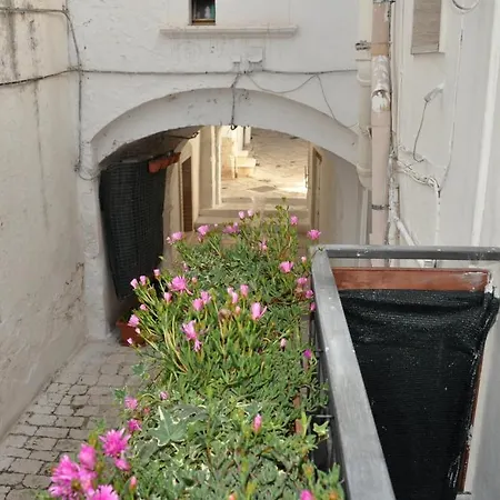 Arco Michele 5*